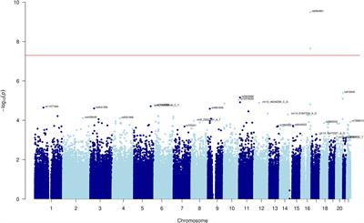 Association between two common SNPs, rs6564851 and rs6420424, and lutein and zeaxanthin levels in a cohort of US postmenopausal women with a family history of breast cancer